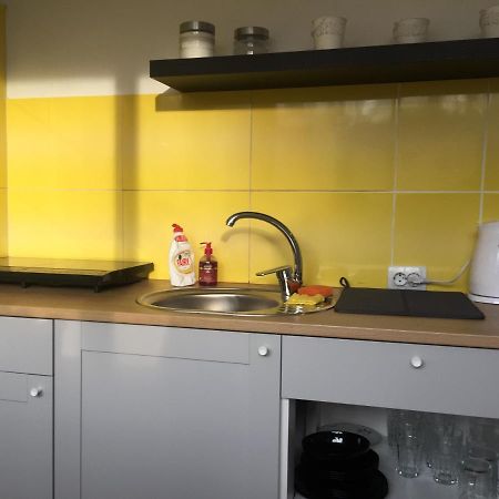 Apartamenti Zirnis ツェーシス エクステリア 写真