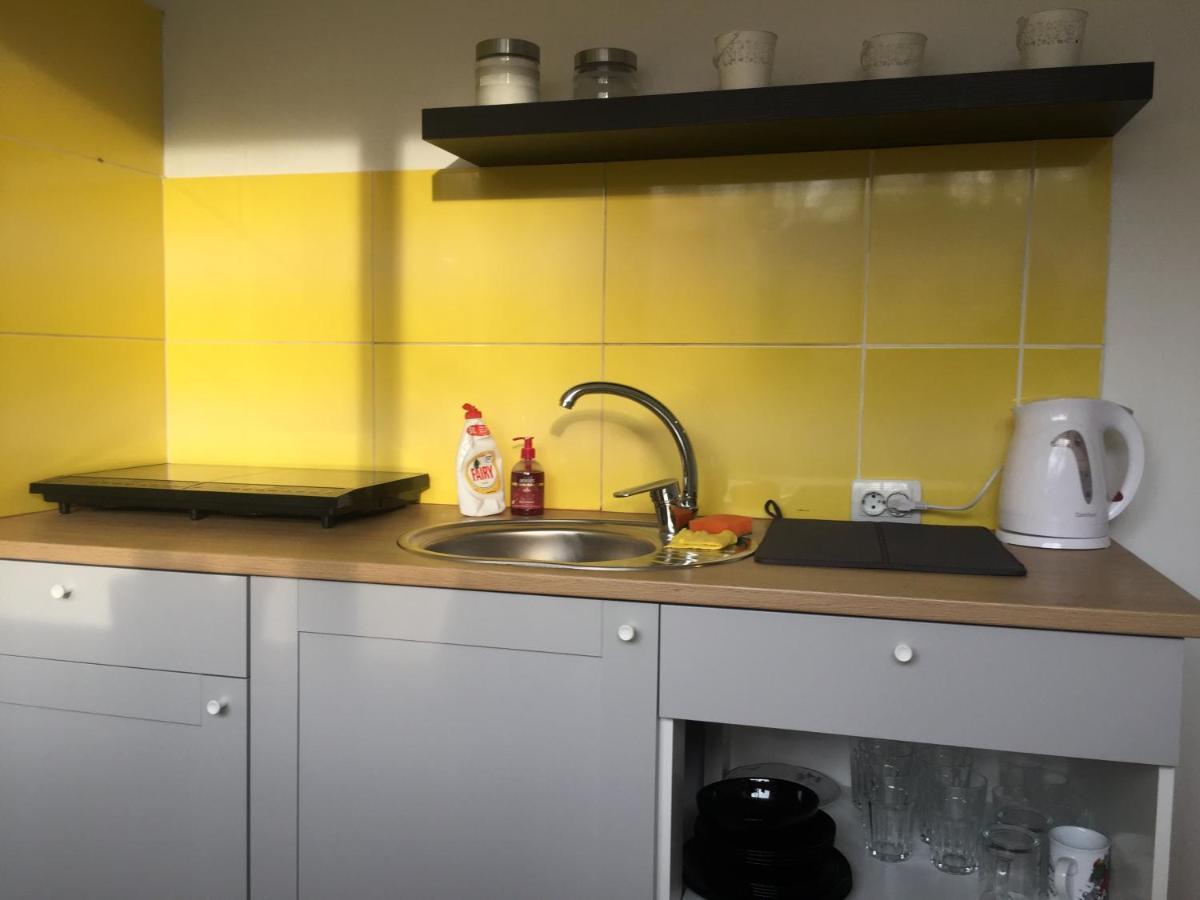 Apartamenti Zirnis ツェーシス エクステリア 写真