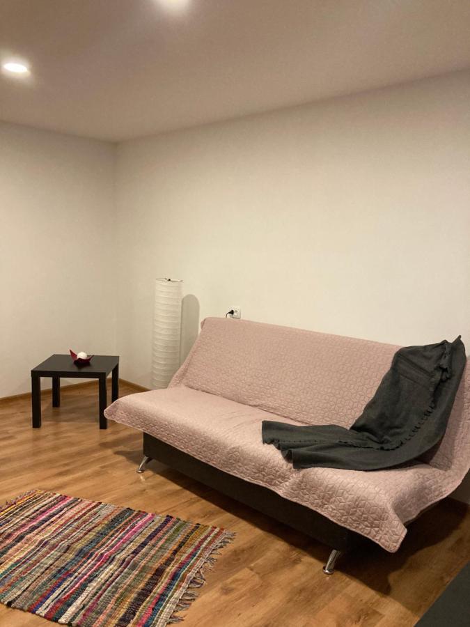 Apartamenti Zirnis ツェーシス エクステリア 写真